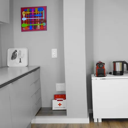 Downtown Flats Appartement *